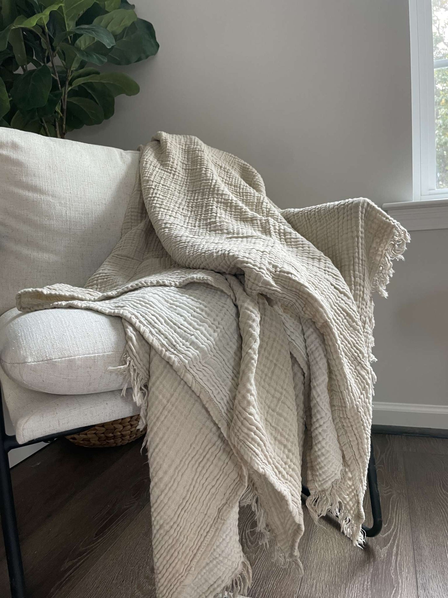 madison park blanket