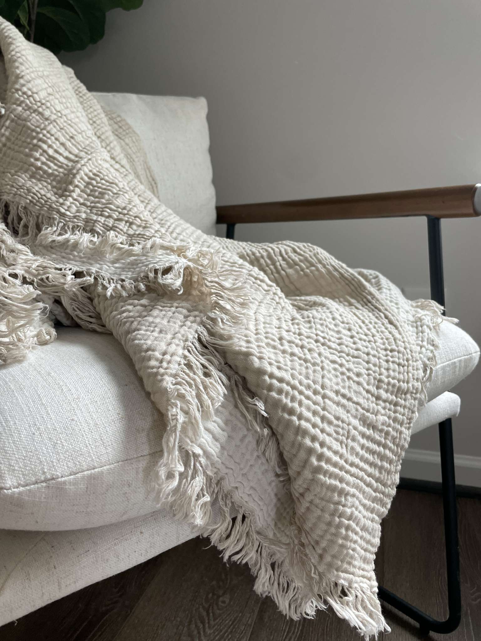 madison park cotton blankets